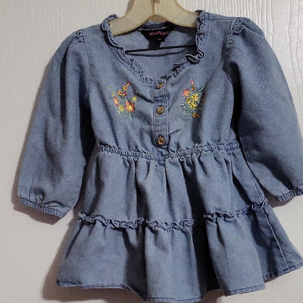 Girls Toddler Dress dELiA*s Blue Denim Kids with Floral Details